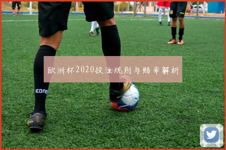 欧洲杯2020投注规则与赔率解析