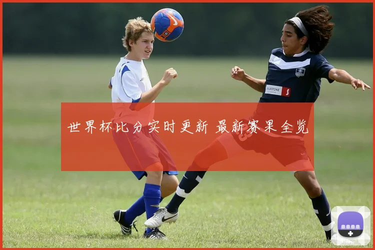 世界杯比分实时更新 最新赛果全览