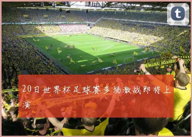 20日世界杯足球赛多场激战即将上演
