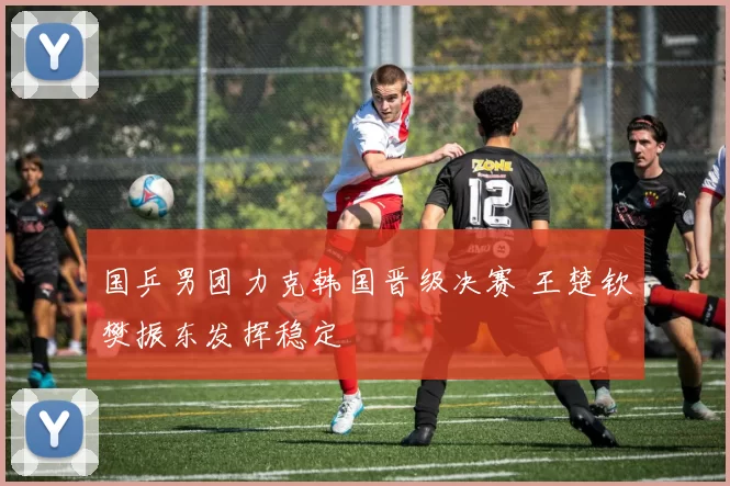国乒男团力克韩国晋级决赛 王楚钦樊振东发挥稳定