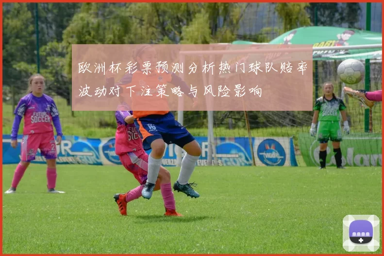 欧洲杯彩票预测分析热门球队赔率波动对下注策略与风险影响