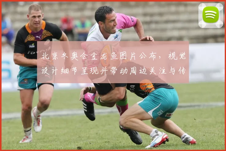 北京冬奥会金龙鱼图片公布，视觉设计细节呈现并带动周边关注与传播